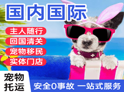 文山砚山机场快递国际宠物托运 【国